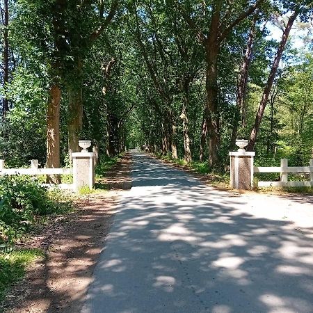 Chalet De Bult White 2 Persons Ngoại thất bức ảnh